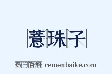 薏珠子是什么意思的图片